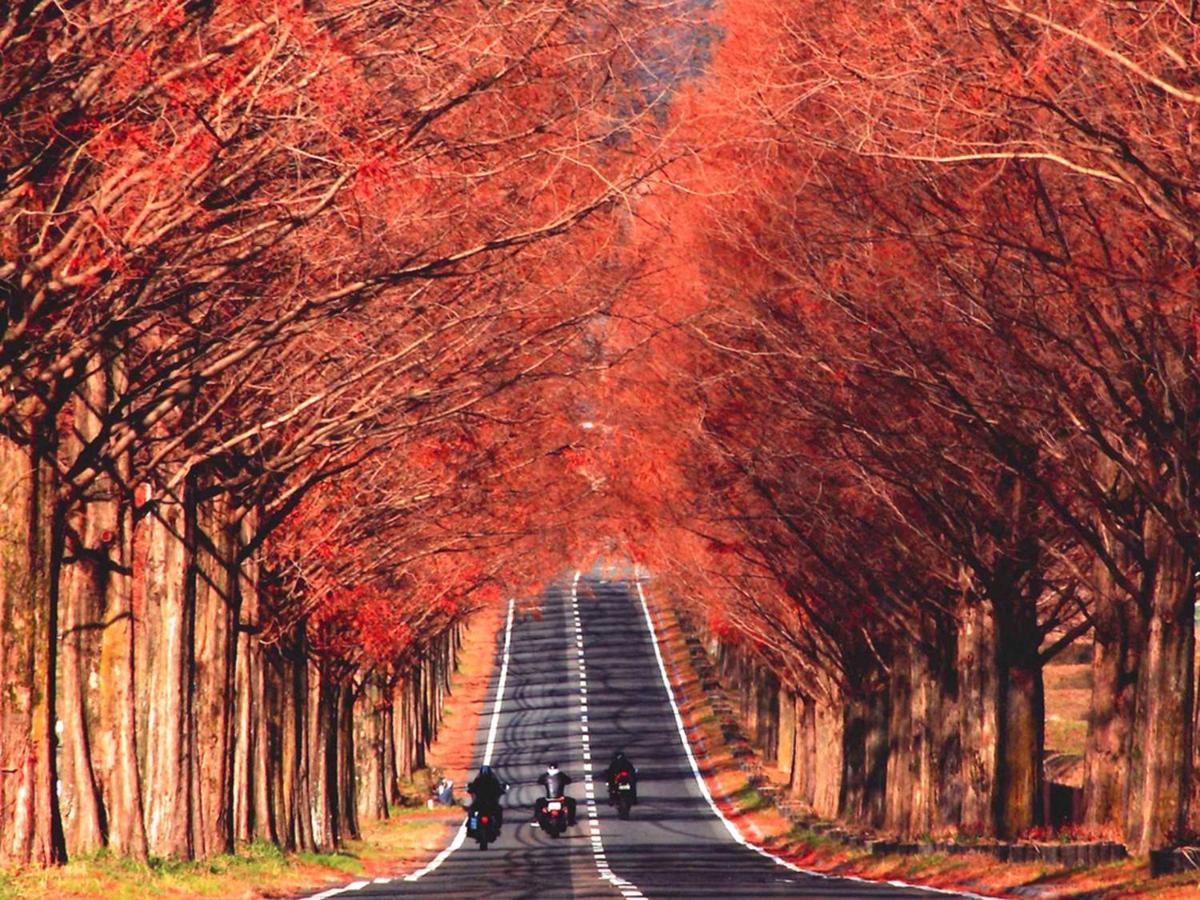 Racine Home Harie Takashima Exteriér fotografie