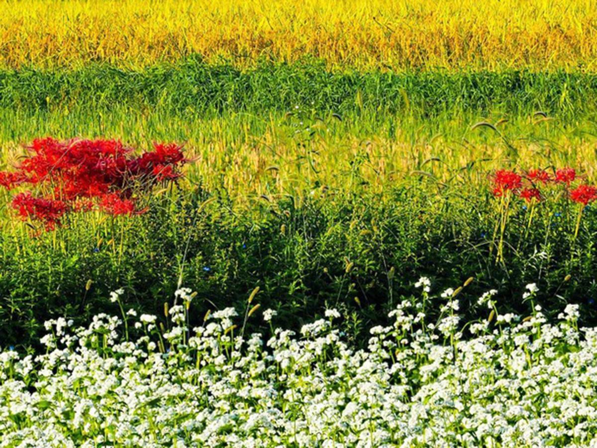Racine Home Harie Takashima Exteriér fotografie