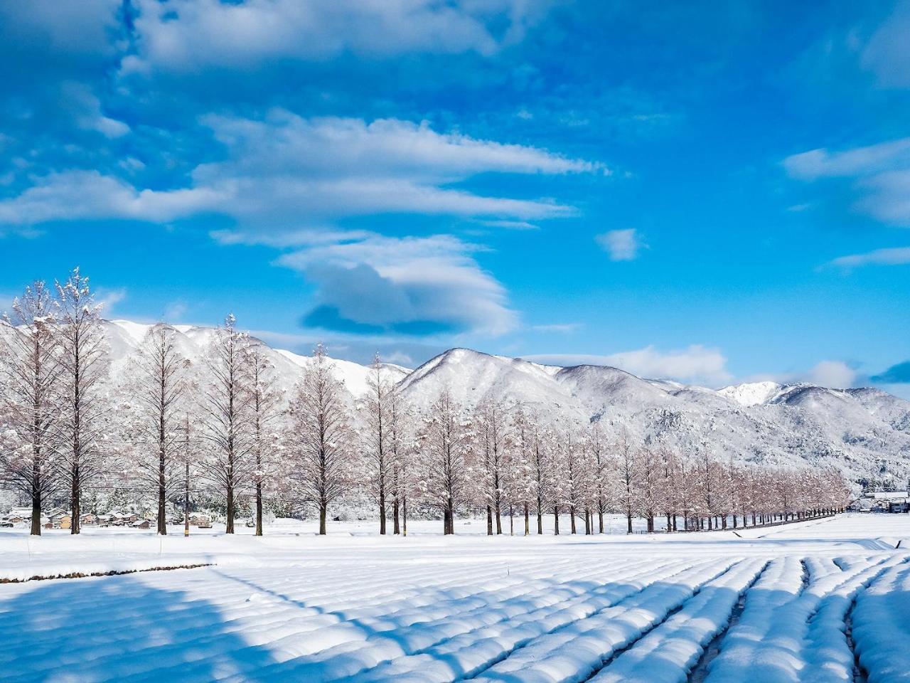 Racine Home Harie Takashima Exteriér fotografie